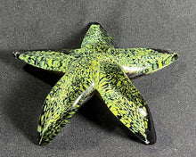 Load image into Gallery viewer, Dappled Sunshine Starfish