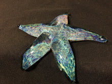 Load image into Gallery viewer, Coronado Sparkle Starfish