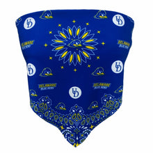 Load image into Gallery viewer, Delaware Bandana Top