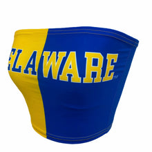 Load image into Gallery viewer, Delaware Two Tone Tube Top