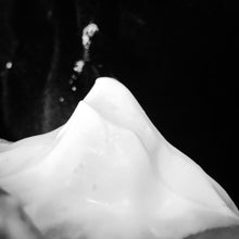 Load image into Gallery viewer, Ouroboros Shaving Soap - by Murphy and McNeil
