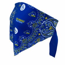 Load image into Gallery viewer, Delaware Bandana Top