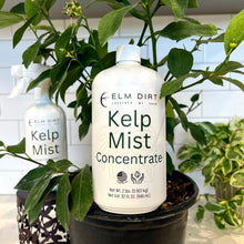 Load image into Gallery viewer, Kelp Mist Foliar Spray