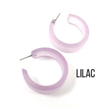 Load image into Gallery viewer, Chandler Hoop Earrings