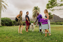 Load image into Gallery viewer, Sports Chair