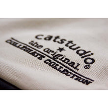 Load image into Gallery viewer, Notre Dame, University of Collegiate Embroidered Pillow by Cat Studio