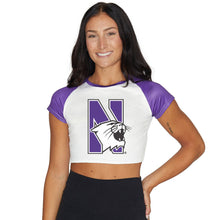 Load image into Gallery viewer, Northwestern Wildcats Team Tee