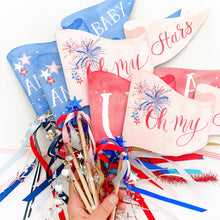 Load image into Gallery viewer, American Baby Party Pennant