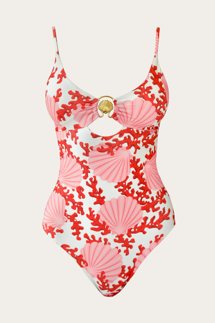 Cove One Piece