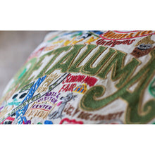 Load image into Gallery viewer, Petaluma Hand-Embroidered Pillow