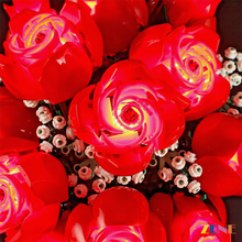 Load image into Gallery viewer, Light Kit for LEGO Bouquet of Roses #10328