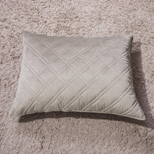 Load image into Gallery viewer, DaDa Bedding Taupe Grey Velvet Quilted King Pillow Sham - (JHW831)