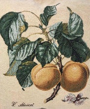 Load image into Gallery viewer, DaDa Bedding Set of 2-Pieces Yellow Apricot Fruits Elegant Tapestry Throw Pillow Covers w/ Inserts - 18&quot; x 18&quot;