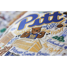 Load image into Gallery viewer, Pittsburgh, University of Collegiate Embroidered Pillow by CatStudio