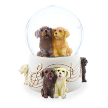 Load image into Gallery viewer, Dogs Party Musical Water Snow Globe