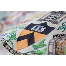 Load image into Gallery viewer, Princeton University Collegiate Embroidered Pillow by CatStudio