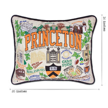 Load image into Gallery viewer, Princeton University Collegiate Embroidered Pillow by CatStudio