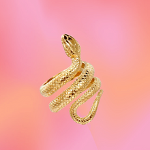 Load image into Gallery viewer, Titanium Snake Ring