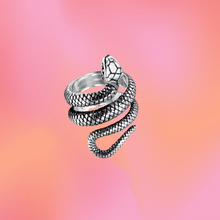 Load image into Gallery viewer, Titanium Snake Ring