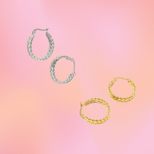 Load image into Gallery viewer, Titanium Braided Hoop Earrings