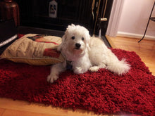 Load image into Gallery viewer, Tache Cotton Chenille Solid Dark Raspberry Red Rug (MAT2032R)