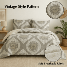 Load image into Gallery viewer, DaDa Bedding Rustic Grey Mosaic Distressed Medallion Reversible Quilted Bedspread Set (SD16299)