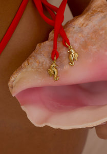 Coral Salina Bottom