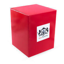 Load image into Gallery viewer, Teddy Bears' Rocking Horse Christmas Water Snow Globe