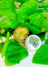 Load image into Gallery viewer, SUPER LEMON BALM