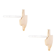 Load image into Gallery viewer, Texas Proud Earring - Bronze