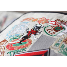 Load image into Gallery viewer, Texas Tech University Collegiate Embroidered Pillow by Cat Studio
