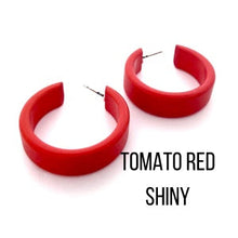 Load image into Gallery viewer, Chandler Hoop Earrings
