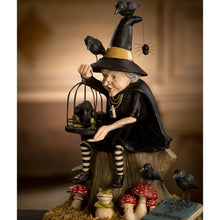 Load image into Gallery viewer, Transformation Failure Witch by Bethany Lowe Designs