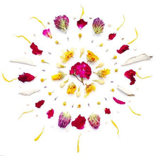 Load image into Gallery viewer, Wild Flower Hair Serum