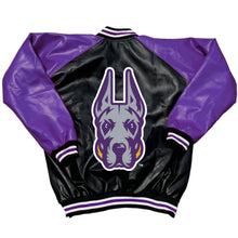 Load image into Gallery viewer, University at Albany Varsity Letterman Jacket