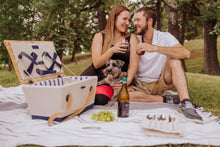 Load image into Gallery viewer, Boardwalk Picnic Basket for 4