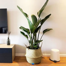 Load image into Gallery viewer, Handmade Rattan Storage Baskets
