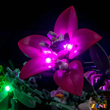 Load image into Gallery viewer, Light Kit for LEGO Pretty Pink Flower Bouquet #10342