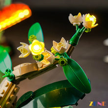 Load image into Gallery viewer, Light Kit for LEGO The Insect Collection #21342